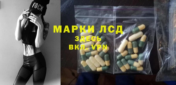 ПСИЛОЦИБИНОВЫЕ ГРИБЫ Осинники