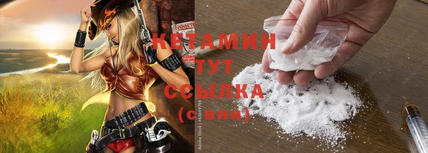 ПСИЛОЦИБИНОВЫЕ ГРИБЫ Осинники