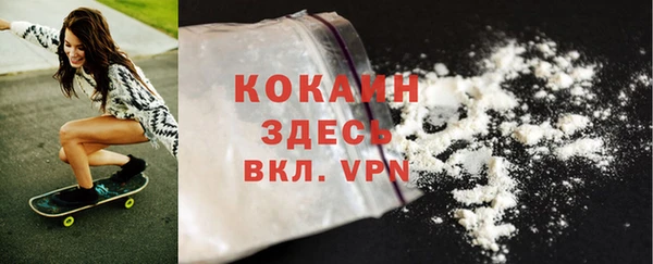 ПСИЛОЦИБИНОВЫЕ ГРИБЫ Осинники