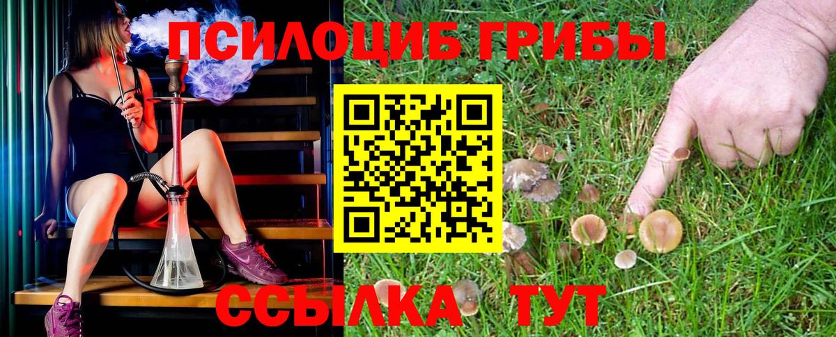 Псилоцибиновые грибы MAGIC MUSHROOMS  Вход с VPN  Таганрог  Псилоцибиновые грибы ЛСД 