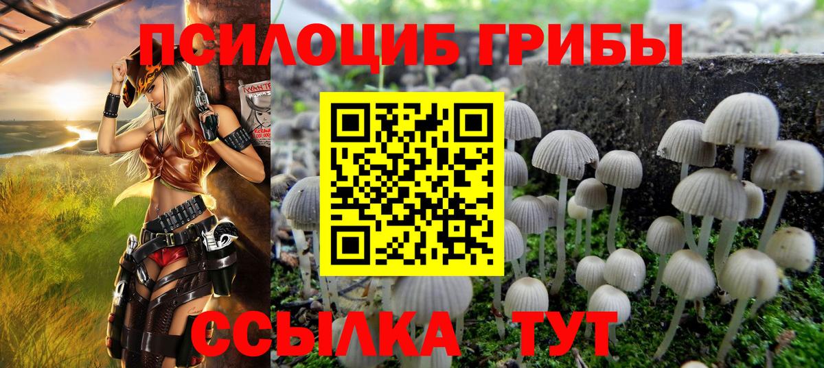 Галлюциногенные грибы MAGIC MUSHROOMS Таганрог