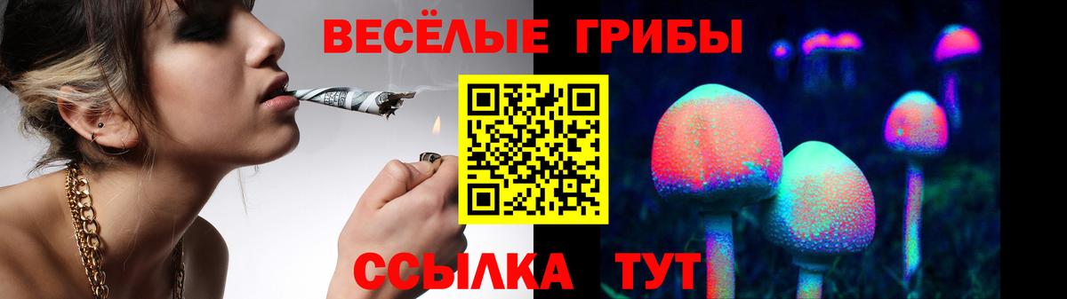 Галлюциногенные грибы MAGIC MUSHROOMS Таганрог